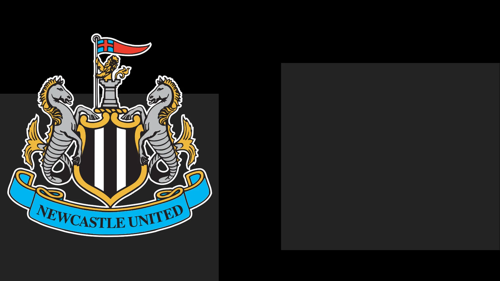 Newcastle Issue Statement of Regret to Supporters Following Ticket Controversy