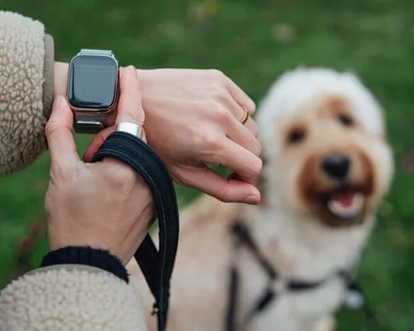 The Truth Regarding Wearable Tech? Life Is Better Without a Nagging Gadget on Your Arm